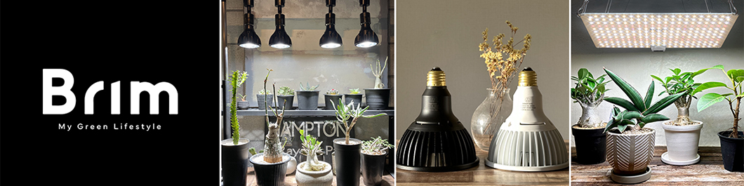 BRIM（ブリム）楽天市場店