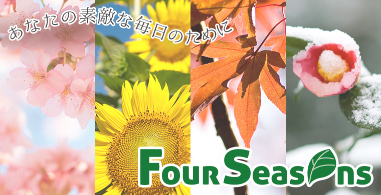ʤŨΤ Four Seasons ե