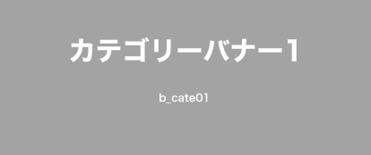 カテゴリー名