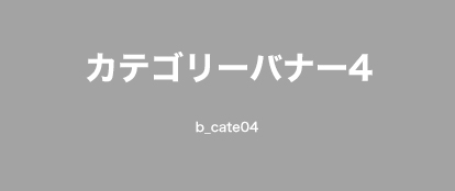 カテゴリー名