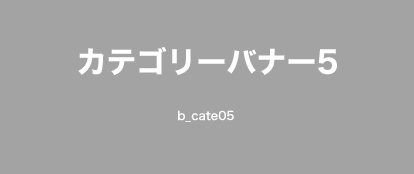 カテゴリー名