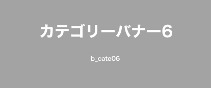 カテゴリー名