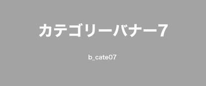 カテゴリー名