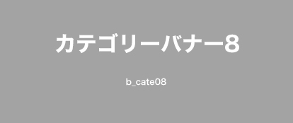 カテゴリー名