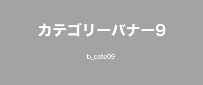 カテゴリー名