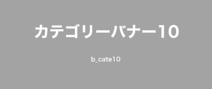 カテゴリー名