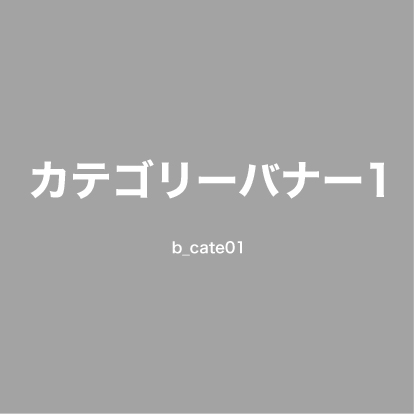 カテゴリー名