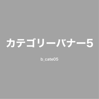 カテゴリー名