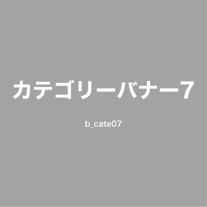 カテゴリー名