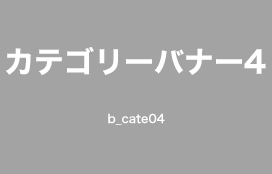 カテゴリー名