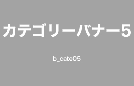 カテゴリー名