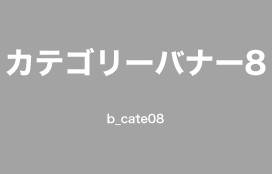 カテゴリー名