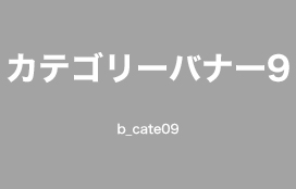 カテゴリー名