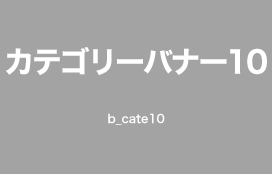 カテゴリー名